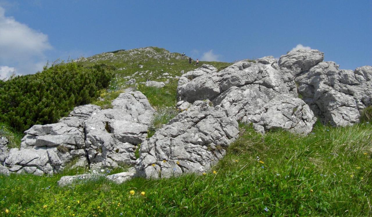 Ferienwohnung Lange Göstling an der Ybbs Εξωτερικό φωτογραφία